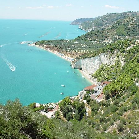 Villa Scapone Mattinata Εξωτερικό φωτογραφία